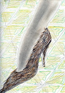 hairy shoe